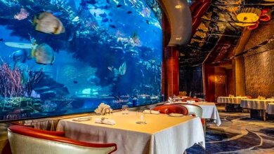 مطاعم دبي الفارهة