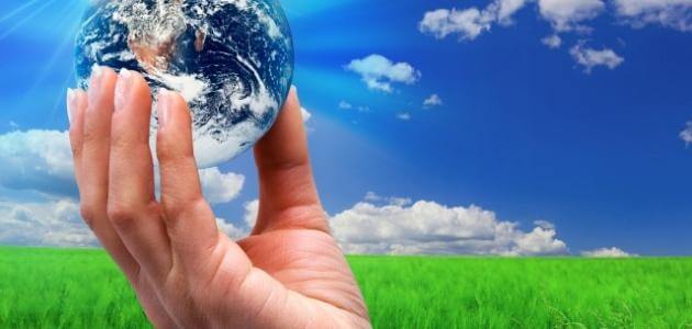 أطفالنا وتربيتهم البيئية