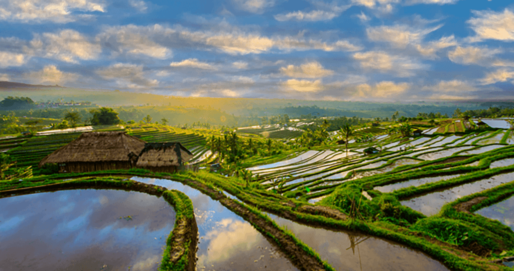 Indonesia-Bali