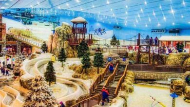 Ski Dubai