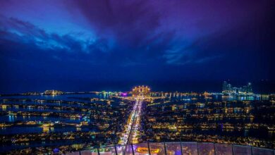 The Palm Island At Night