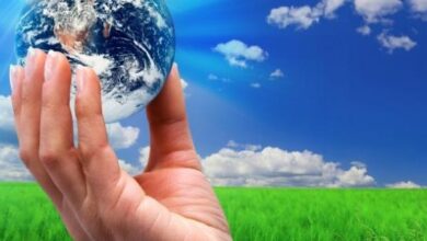 أطفالنا وتربيتهم البيئية