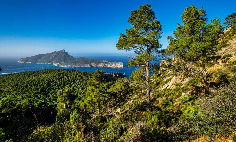 Palma de Mallorca, Spain