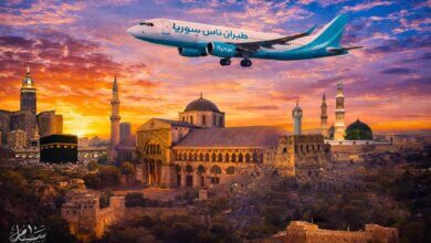 تأسيس فلاي ناس سوريا