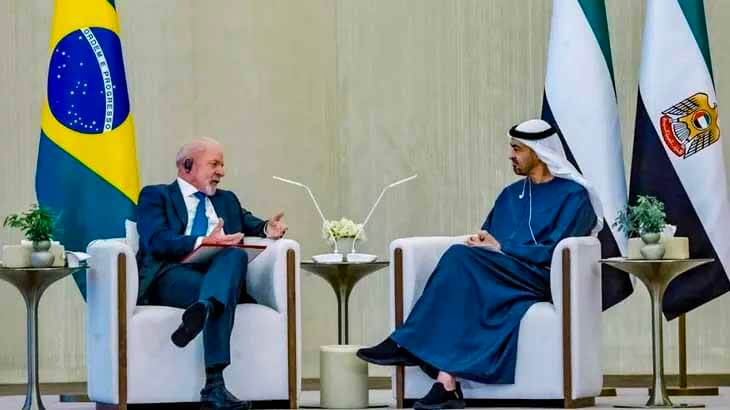 الرئيسان البرازيلي والإماراتي يبحثان تعزيز الشراكة الاستراتيجية